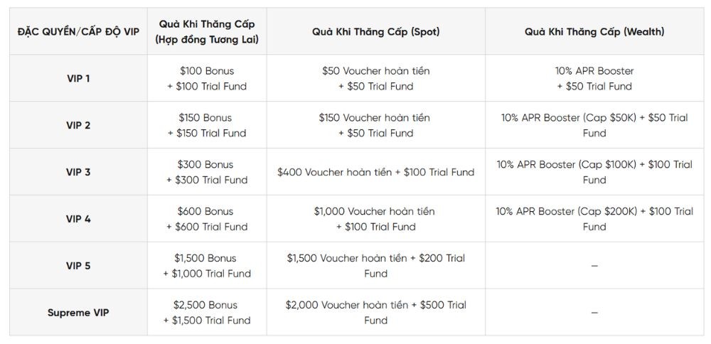 Đặc quyền Nâng cấp VIP 