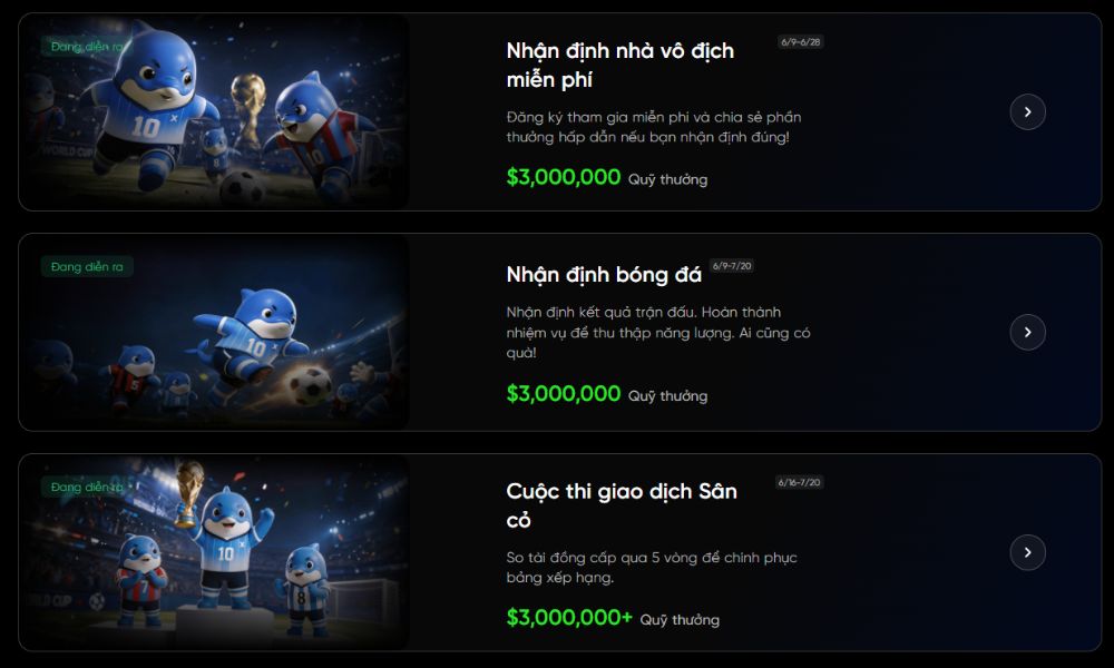 Các hoạt động chính