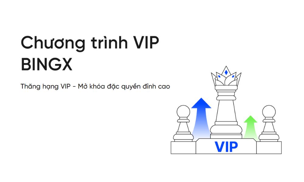 bingx vip program