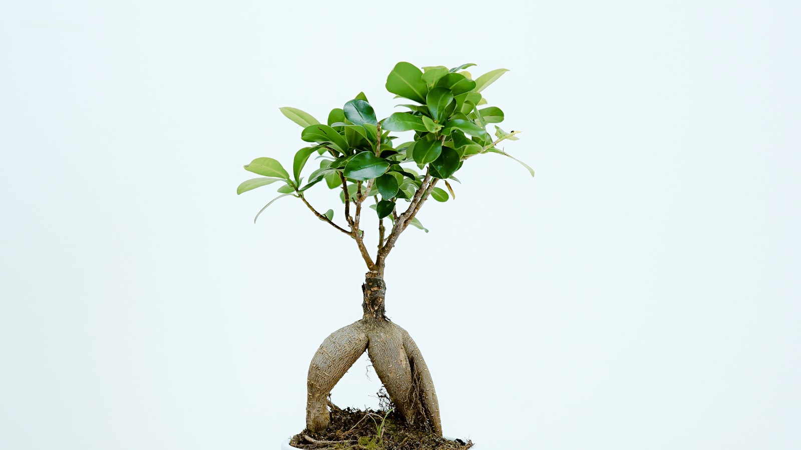 Tài liệu pháp lý và con dấu chứng nhận đặt trên bàn làm việc, minh họa vấn đề giấy phép quy định của sàn giao dịch crypto