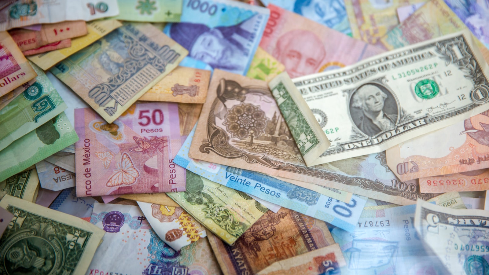 Số dư tài khoản giao dịch tăng lên nhờ khoản hoàn phí rebate được cộng tự động hằng ngày